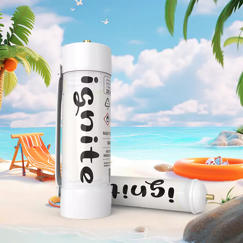 The image features a 3D-rendered, tropical beach scene with two cream charger canisters prominently displayed. The larger one stands upright in the center with the label "ignite" in a bold, vertical font. The smaller canister lies in the foreground with the same label. The canisters are white with black text, and various warning symbols and text suggest it's a product for culinary use. Surrounding this are typical beach elements: clear turquoise water, white sand, a life ring, palm leaves, a beach chair, and a small rocky island. The scene is cheerful with a bright blue sky, fluffy white clouds, and seagulls flying in the distance, invoking a relaxed, vacation atmosphere.